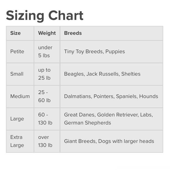 TWO matching Gentle leader chic, DONUTS head collar and leash, size Medium. - Picture 6 of 7